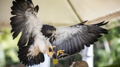 Eco Park Foz do Iguaçu: Vale a pena a vistia? Vamos te contar tudo aqui!