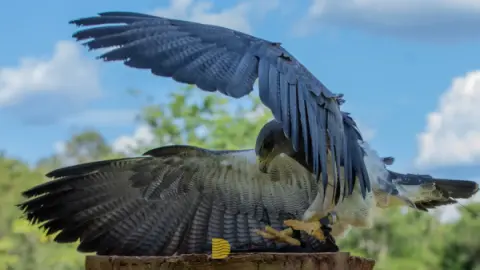 Eco Park Foz do Iguaçu: Vale a pena a vistia? Vamos te contar tudo aqui!