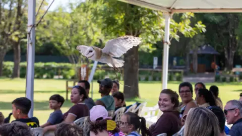 Eco Park Foz do Iguaçu: Vale a pena a vistia? Vamos te contar tudo aqui!