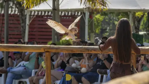 Eco Park Foz do Iguaçu: Vale a pena a vistia? Vamos te contar tudo aqui!