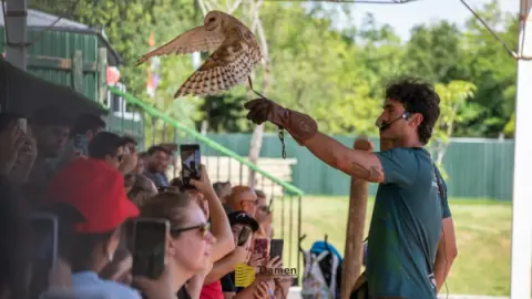 Eco Park Foz do Iguaçu: Vale a pena a vistia? Vamos te contar tudo aqui!