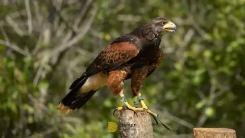 Eco Park Foz do Iguaçu: Vale a pena a vistia? Vamos te contar tudo aqui!