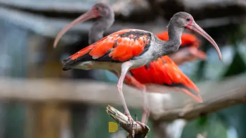 Eco Park Foz do Iguaçu: Vale a pena a vistia? Vamos te contar tudo aqui!