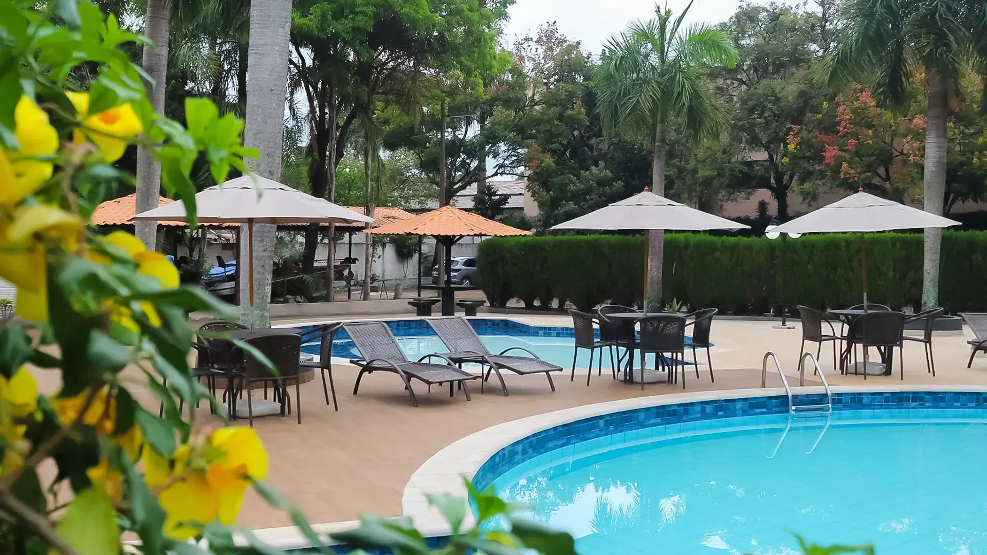 damen-hotel-center-imagem-galeria-damen-hotel-center-hospedagem-no-centro-de-foz-do-iguacu-6825442d5582e_0.webp